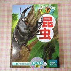 〇 / 昆虫 / DVD付 カバーなし / 学研の図鑑LIVE