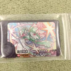 フレンダベストタッグ1弾　サーナイト