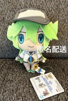 ポケモンマスターズ　ぬいぐるみ　N ①