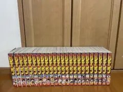 Item thumbnail for item 060cfddb-8759-4752-b843-863dfea1e9bd