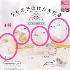 【正規品】うちの子のけだまだま　茶トラ、シャム、三毛猫、ハチワレ