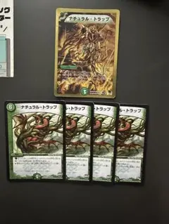 ナチュラルトラップ　5枚　③