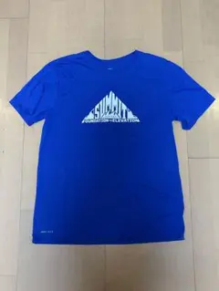 Nike Dri-FIT ブルー Tシャツ