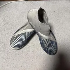 プレデターエッジ
