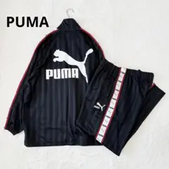 Item thumbnail for item 67076737-b208-40a5-9203-7e6e9e205fdc