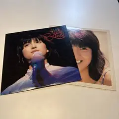 河合奈保子 LIVE 特別限定盤 LOVE LPレコード 2枚セット