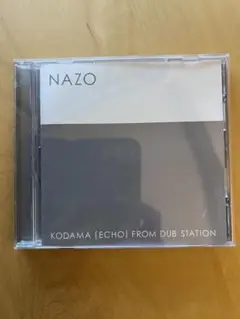 NAZO KODAMA (ECHO) FROM DUB STATIONこだま和文