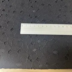 Item thumbnail for item d0b2db88-7dde-445a-84aa-78e4cd3ad134