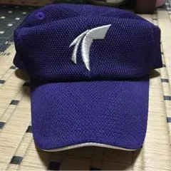 即日発送‼️【明日までの出品】天理大学野球部　半袖ウェア 即日発送‼️【明日までの出品】天理大学野球部 半袖ウェア