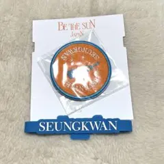 SEVENTEEN セブチ スングァン ペンライト アクセサリー セット SEVENTEEN セブチ スングァン ペンライト アクセサリー セット