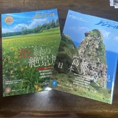 ノジュール2023年6.8