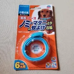 Item thumbnail for item adb272b3-cfc5-4bcd-b2a8-7f9a04cd1181