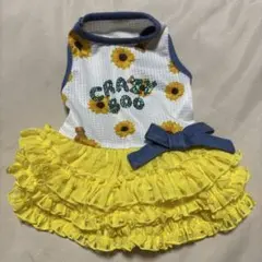 Item thumbnail for item 948e167b-c18a-45c8-b74f-3d5175854fd8