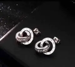 ローマ数字　サークル　ピアス　シルバー