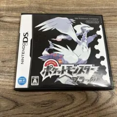 Nintendo DS ソフト　ポケットモンスターブラック
