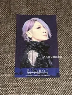ANDROGYNOUS THE FINAL WAR PIERROTロトキリト