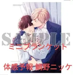 体感予報　特典のみ　小冊子 2種　リーフレット　クリアカード 2025年最新】体感予報 小冊子の人気アイテム - メルカリ
