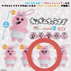 おぱんちゅうさぎ かぷっこふれんず2 むっ