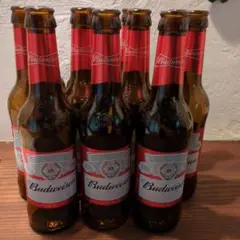 空き瓶　Budweiser ビール 330ml 11本セット