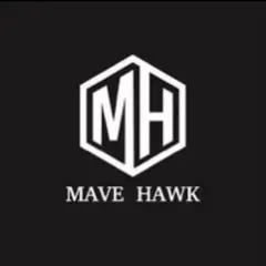 【激レア】 MAVE HAWK サングラス 飯田将成 BreakingDown