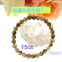 Item thumbnail for item ba281b5e-a3aa-47a4-8c0f-4a1ca88c8e87