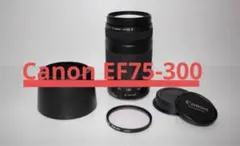 Item thumbnail for item d57a2a3a-25a0-4766-8bb9-74ea8627bcdf