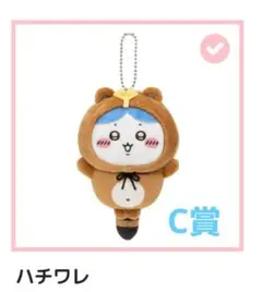 たぬきだもんくじC賞　ハチワレ