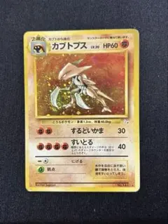 カブトプス 、カブト　４枚セット★ 旧裏