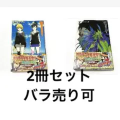 家庭教師ヒットマンREBORN 漫画2冊まとめ売り　バラ売り可
