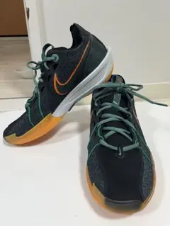 Item thumbnail for item 1f9e2f61-de58-4566-bd28-25d5b8a3d52e