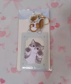モフサンド mofsand カードケース リス