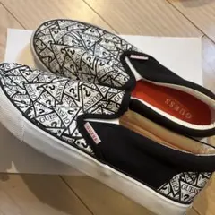 Item thumbnail for item 76bcf225-b0e0-44c3-aaac-454de62aeab6