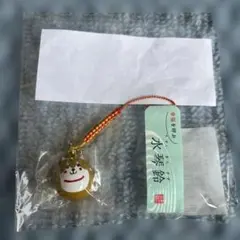 ドラマ 着飾る恋には理由があって シバ犬水琴鈴 赤シバ