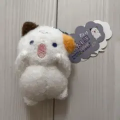 新品 ミニぬいぐるみ おうえんし隊マスコット こねこ ねこ
