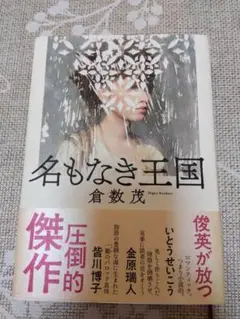 名もなき王国 倉数茂