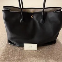 Item thumbnail for item 6e829a57-e64e-4a64-ac49-f3ac67e75e34