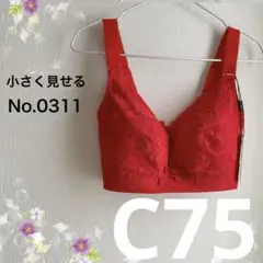 Item thumbnail for item 4e9c32e5-305c-45dc-b621-eb398a24da95