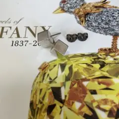 ティファニー キューブピアス シルバー