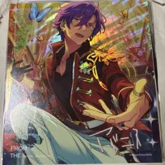 星華色紙 アドニス