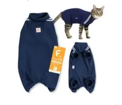Item thumbnail for item e4cc53a2-e2ed-4e3f-85fc-9f68bfcdc71b