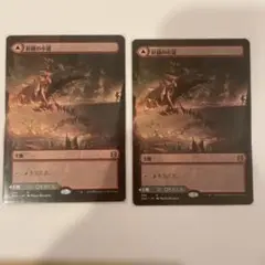 MTG 解放の小道 / Needleverge Pathway 2枚セットR