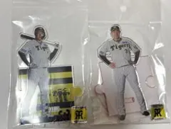阪神タイガース 大山悠輔 アクリルスタンド 2個セット