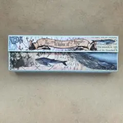 おすそ分けハチの巣蛇腹ファイル