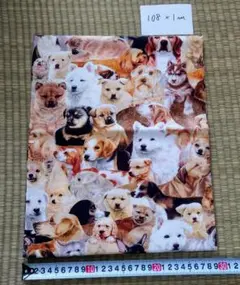 シーチング生地 さらら リアル犬柄 1m