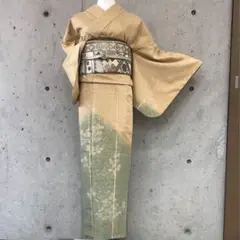 【生紬】上質な紬の訪問着 一つ紋 袷