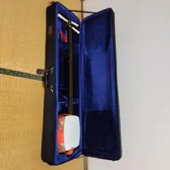 Item thumbnail for item 865d2592-da8f-4ee3-b851-0dbfbc47b49b