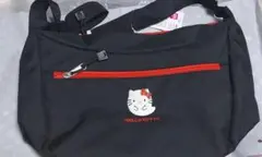 サンリオ　ハローキティ　ショルダーバッグ　おばけ　タグ付き