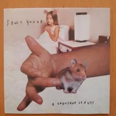2025年最新】SONIC YOUTH A THOUSAND LEAVESの人気アイテム