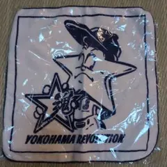横浜ベイスターズ　ホッシー タオル