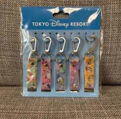 【キーチェーン5個】ディズニーリゾート